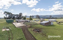 214 Mathinna Plains Road, Ringarooma, Tas 7263