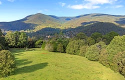65 Brisbane Hill Road, Warburton, Vic 3799