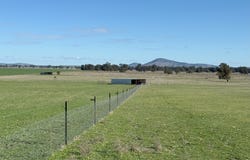 Wirrinya Road, Forbes, NSW 2871