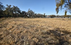 453 Dallinger Road, Lavington, NSW 2641
