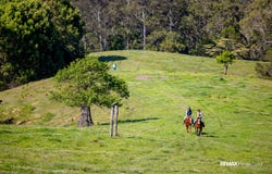 160 Hodgens Road, Bald Knob, Qld 4552