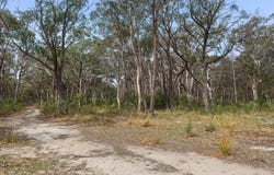 171 Old Coowong Road, Canyonleigh, NSW 2577