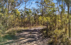 401 Reedy Creek Road, Rylstone, NSW 2849