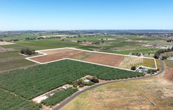Lot 101, Derrick Road, Loxton, SA 5333