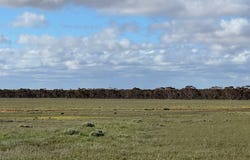 Section 93 Foote Road, Brownlow, SA 5374