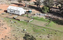 481 Younga Plains Road, West Wyalong, NSW 2671