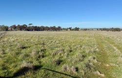 239 Mitiamo-Forest Road, Mitiamo, Vic 3573