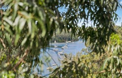309/9 Waterview Drive, Lane Cove, NSW 2066