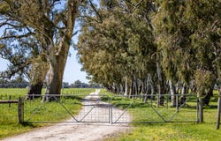 3699 Casterton-Penola Road, Lake Mundi, Vic 3312