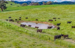 229 Wallaces Lane, Panuara, NSW 2800