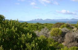 736 Dolphin Sands Road, Dolphin Sands, Tas 7190