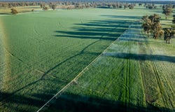 3688 Sturt Highway, Collingullie, NSW 2650