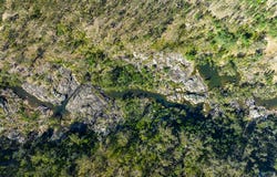 4356 Paddys Flat Road, Tooloom, NSW 2475