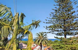 82A Macpherson Street, Bronte, NSW 2024