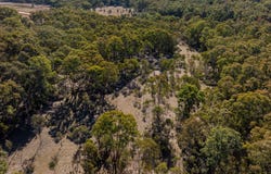 318 White Cedars Road, Mudgee, NSW 2850