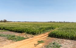 1259 Mason Road, Girgarre, Vic 3624