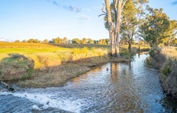 14 Packs Grant Road, Cowra, NSW 2794