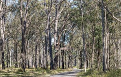 255  Springbank Road, Mayfield, NSW 2540