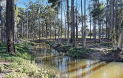 79 Mount Mee Road, Delaneys Creek, Qld 4514