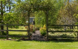 28 Lakeside Terrace, Medowie, NSW 2318