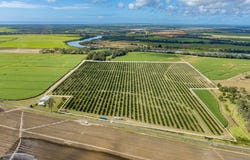 Mahoneys Road, Bucca, Qld 4670