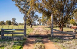 342 Matong North Road, Matong, NSW 2652