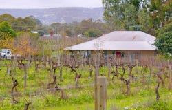 2 Forest Road, Henley Brook, WA 6055