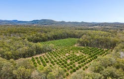 1331 Gatton Esk Road, Spring Creek, Qld 4343