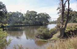 Lot 36 Reedy Creek Road, Tenterfield, NSW 2372