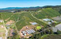 20 Puhos Road, Sandy Beach, NSW 2456