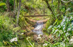 45 Geles Road, Upper Burringbar, NSW 2483