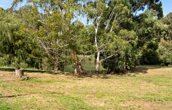 76 Plummers Road, Forest Range, SA 5139