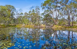 103 Anderson Way, Agnes Water, Qld 4677