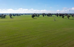 PP2180 Boralma-Rutherglen Road, Springhurst, Vic 3682
