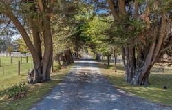 152 Nankervis Road, Mandurang, Vic 3551