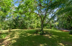 7 Hope Close, Kuranda, Qld 4881