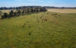 499 East Greenwald Road, Greenwald, Vic 3304
