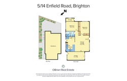 5/14 Enfield Road, Brighton, Vic 3186