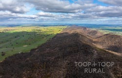 1705 Ngapala Road, Ngapala, SA 5374