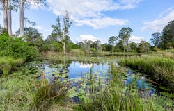 47 Maroske Road, Tamaree, Qld 4570