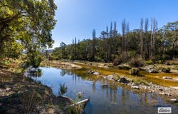 910 West Kameruka Road, Morans Crossing, NSW 2550