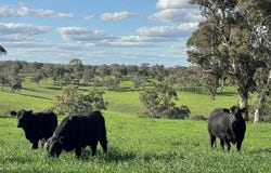 A21 Sunnydale Road, Strathalbyn, SA 5255