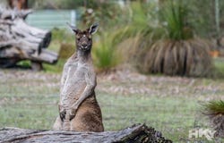 18 Heron Hill, Chittering, WA 6084