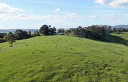 625 Boorool Road, Berrys Creek, Vic 3953