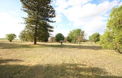 258 Black Culvert Rd, Rochester, Vic 3561