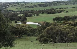 19 Lloyd Place, Coondle, WA 6566