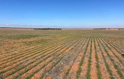 23060 Sturt Highway, Yamba, SA 5340