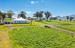 158 Cressfield Road, Scone, NSW 2337