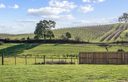 24 Lalla Road, Lilydale, Tas 7268