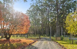 1177 Meryla Road, Meryla, NSW 2577